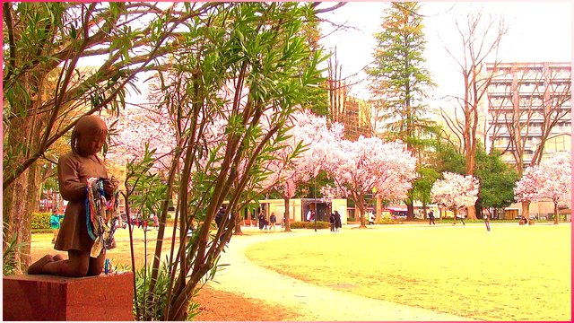 錦町公園の「いのり」の像と桜(2025年4月8日).png